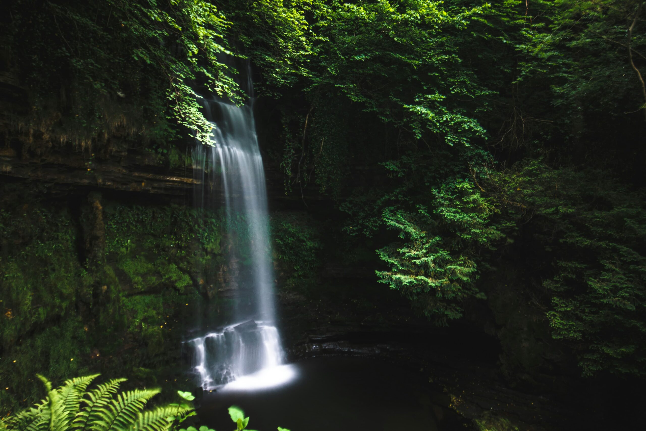 Serene waterfall surrounded by lush greenery in a peaceful forest setting.